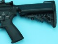aeg081_5