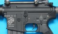 gp281c