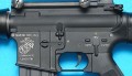 gp282c gp282c