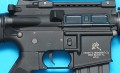 gp282d gp282d