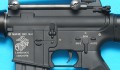 gp298c