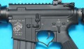 gp305c