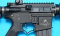 gp305d