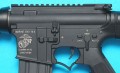 gp307c_copy2