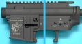 gp541c_copy1