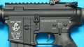 gp613c