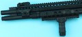 shg016n_2