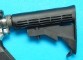 woc30d