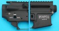 wp05b