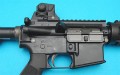 wp25b