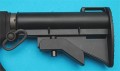 wp55b