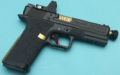 SAIPP1-R1