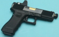 SAIPP2-R1