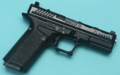 EMG-SIPP1b1