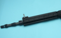 MWS049b MWS049b